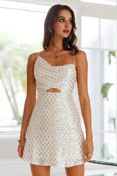 Gimme Glitter Dress Silver Sequin